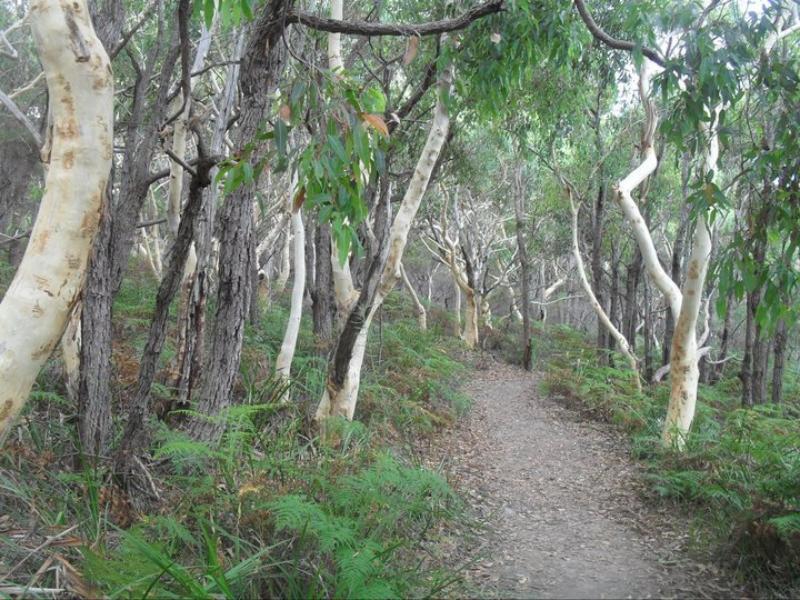 Sanddancers Bed & Breakfast In Jervis Bay Vincentia Extérieur photo